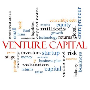 Venture Capital: Investing for the Long Term 